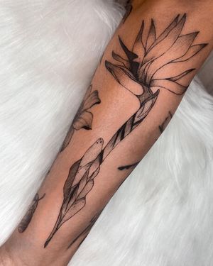 Image post by @tamarafalcomer on Instagram