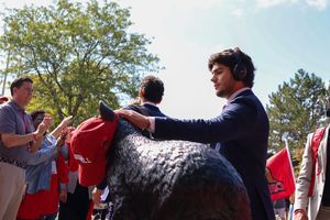 Image post by @lexiwoodcockvisuals on Instagram