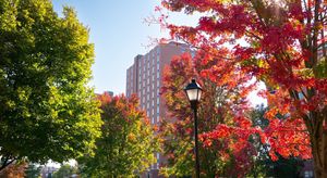Image post by @marshallu on Instagram