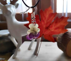 Image post by @leafyaffair on Instagram