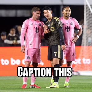 Image post by @mls on TikTok