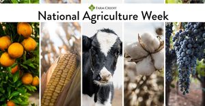 Image post by @farmcredit on Twitter