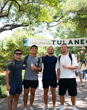 Image post by @greenwavefb on Instagram