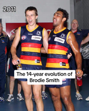 Image post by @adelaidefc on TikTok