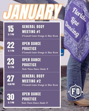 Image post by @floridalinedancing on Instagram