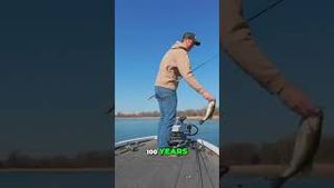 Video post by @lakeforkguy on YouTube