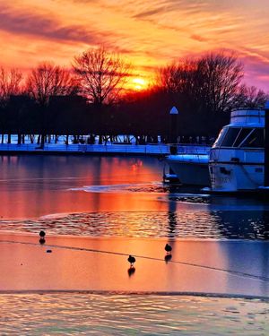 Image post by @thewharfdc on Instagram