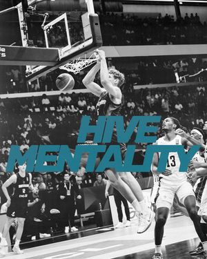 Image post by @dbb_basketball on Instagram