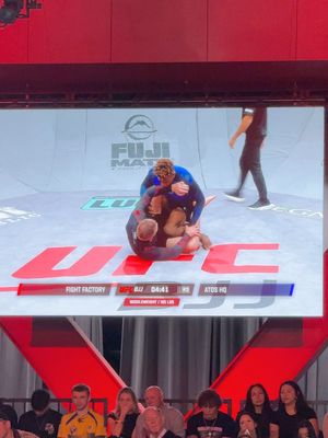 Image post by @ronaldojuniorbjj on Instagram