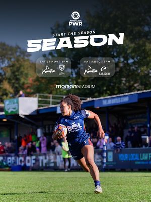 Image post by @salesharkswomen on Instagram