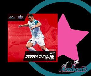 Image post by @stlouisambush on Instagram