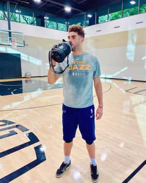 Image post by @georgesniang on Instagram