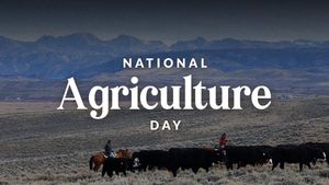 Image post by @RepLizCheney on Twitter