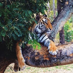 Image post by @kirstenalana on Instagram