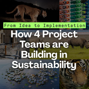Image post by @pmi_org on Instagram