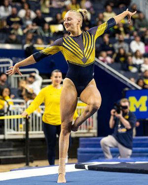 Image post by @umichwgym on Instagram