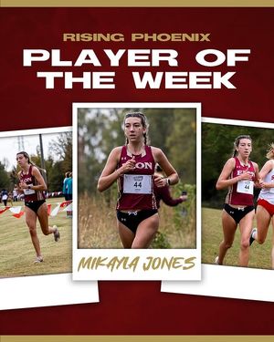 Image post by @elonrisingphoenix on Instagram