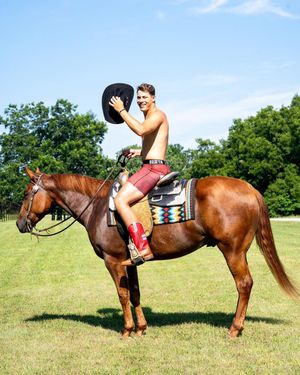 Image post by @generalbooty on Instagram
