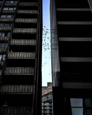 Image post by @mtl_unscripted on Instagram