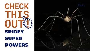 Video post by @dukeuniversity on YouTube
