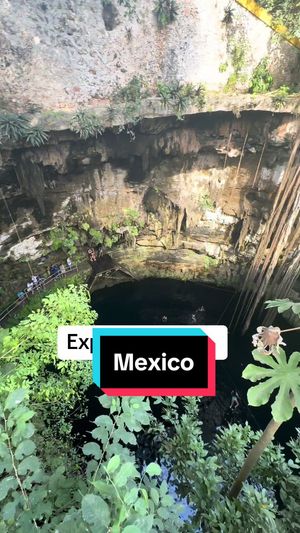 Video post by @arperry01 on TikTok