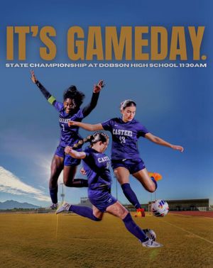 Image post by @Harwood23Kayden on Twitter