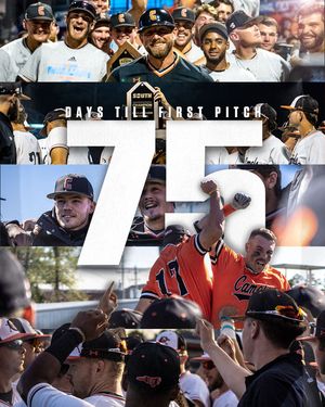 Image post by @gocamelsbsb on Instagram