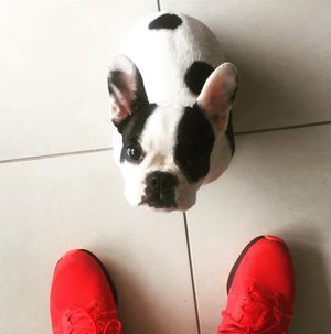 Image post by @thiagoweirich on Instagram