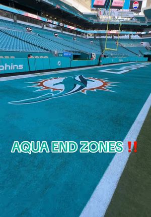 Video post by @hardrockstadium on TikTok
