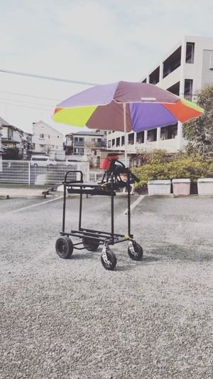 Video post by @mott_jp on Instagram