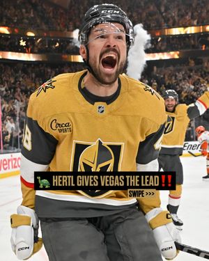 Image post by @vegasgoldenknights on Instagram