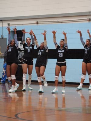 Image post by @bluebearathletics on Instagram