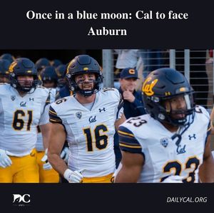 Image post by @dailycalsports on Instagram