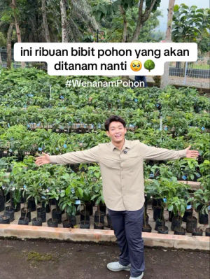 Image post by @jerhemynemoo on TikTok