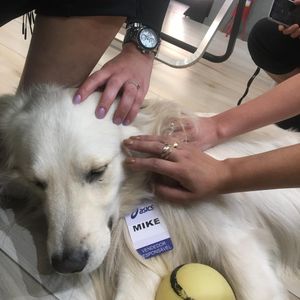 Image post by @mikethewhitegolden on Instagram