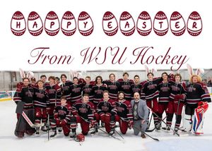 Image post by @wsu_hockey_ on Instagram