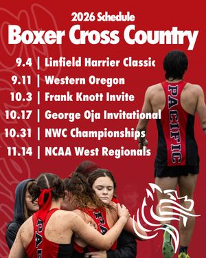 Image post by @goboxers on Instagram