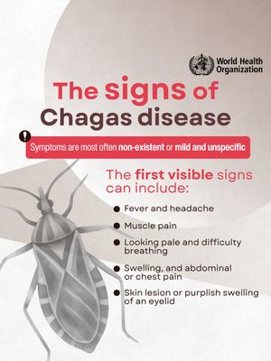 Image post by @who on Instagram