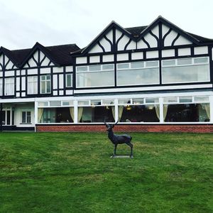 Image post by @joedeangolf on Instagram