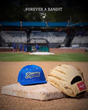 Image post by @brisbanebandits on Instagram