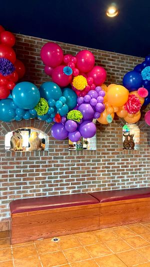 Video post by @balloons_by_victoria_dz on Instagram