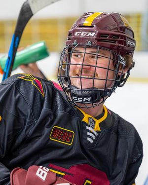 Image post by @cmuhockeyd3 on Instagram