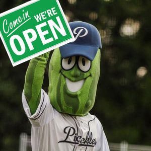 Image post by @picklesbaseball on Instagram