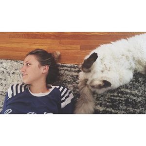 Image post by @mrkate on Instagram