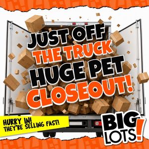 Image post by @biglots on Instagram