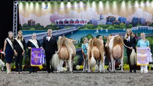 Image post by @wdexpo on Instagram