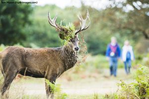 Image post by @rspb on Instagram