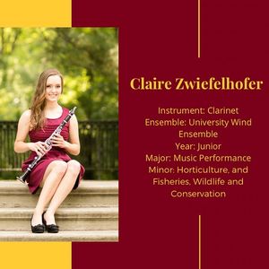 Image post by @umnbands on Instagram