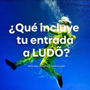 Image post by @ludo.cirquedusoleil on Instagram