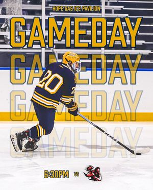 Image post by @wvuhockeyd4 on Instagram